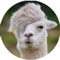 lamascheisse
